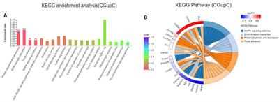 Extracellular Matrix and Oxidative Phosphorylation: Important Role in the Regulation of Hypothalamic Function by Gut Microbiota